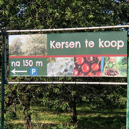 Gastenverblijf Op De Prins Hendrik Hoeve In Buren Buren  Eksteriør billede