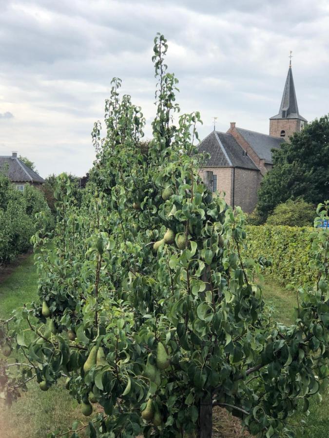 Gastenverblijf Op De Prins Hendrik Hoeve In Buren Buren  Eksteriør billede